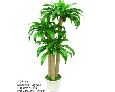 China Modern Indoor Decor Artificial Touched Feeling Real Plants Potted Silk Dracaena Plant for sale