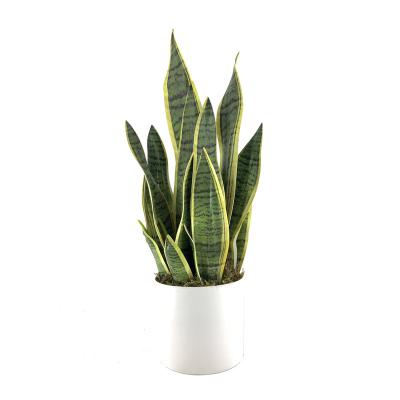 China Hot Sale Artificial Sansevieria Home Decoration Plastic Potted Sansevieria Trifasciata Prain Bonsai for sale