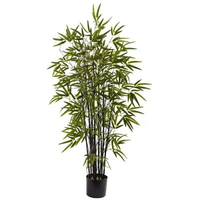 China Hot Sale Minimalist Indoor Bamboo Tree House Hotel Plants Plants And Decorative Hot Sale Trees For Sale Black Leaves Plant Artificial for sale