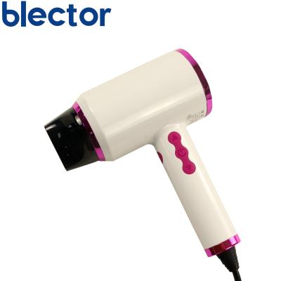 China Blector Hair Dryer Home Sale Home Ionic Electric Hair Dryer Factory Hot Wholesale Hot Sale for sale