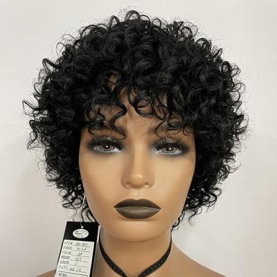 China Luxury New Arrival Short 100% Loose Wave Brazilian Hair Wigs Black Curly Curly Natural Hair Wigs In Stock Big Discount for sale