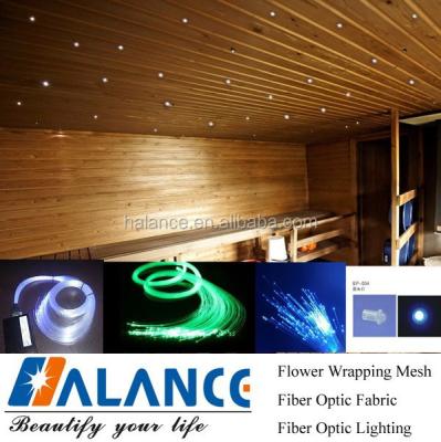 China With Transom Windows LED Sauna Room Fiber Optic Light For Star Ceiling for sale