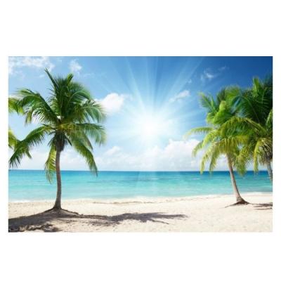 China Hot Sale Photography Landscape Landscape Fabric Seamless Backdrops for sale