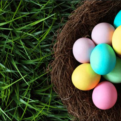 China Seamless Happy Easter Egg Hunt Photography Background Backdrops For Photo Studio Digital Photo Studio Background for sale