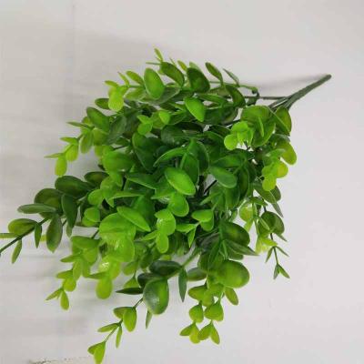 China Wedding Artificial Eucalyptus Leaves Money Leaves 7 Branches For Outdoor Decoration Home Decoration for sale