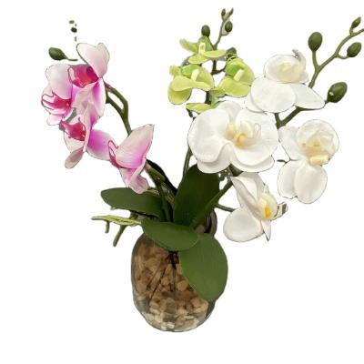 China Orhid Artificial Flower Butterfly Flowers Phalaenopsis Plastic Fabric/Orchid Decorative Flowers For Wedding Decoration Home Decoration for sale