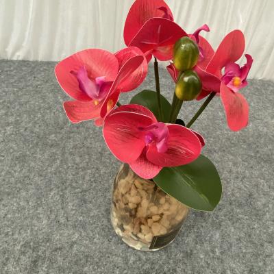 China Wedding 7 Heads Orhid Artificial Flower Butterfly Phalaenopsis Orchid Bonquet Decorative Flowers For Wedding Decoration for sale