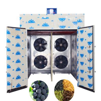 China 10P Grape Fruit Tray Dryer Large Capacity Dried Fruit Dehydrator Raisins Food Processing Heat Pump Dryer Oven for sale