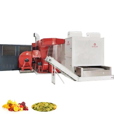 China High Quality Food Processing Fruit Drying Machines Continuous Dehydrators Red Jujube Mesh Belt Dryer for sale