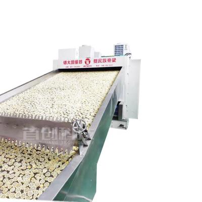 China Large Capacity Food Processing Beverage Dehydrators Lemon Drying Machinery Mesh Belt Vegetable Dryer for sale