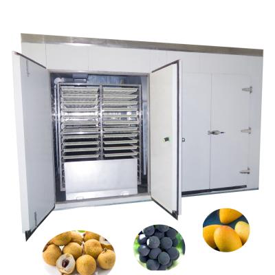 China food & Beverage Plant 4/6/8/10/12 Carts Dryer Carts 4/6/8/10/12 Oven Dried Mango Grape Longan Mulberry Tray Dehydrator Heat Pump Food Fruit Drying Machine for sale