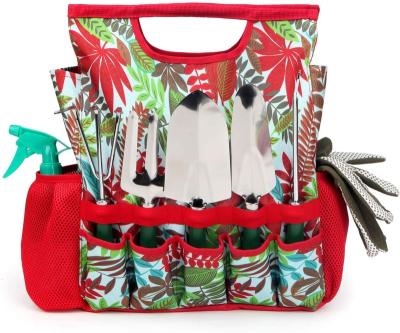 China Convenient 9-Piece Garden Tool Kit with Wedder and Tote Metal Garden Tool Set Colorful with Storage Bag for sale