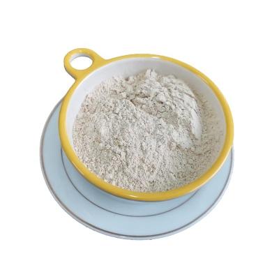 China Instant Rice Protein Powder for sale