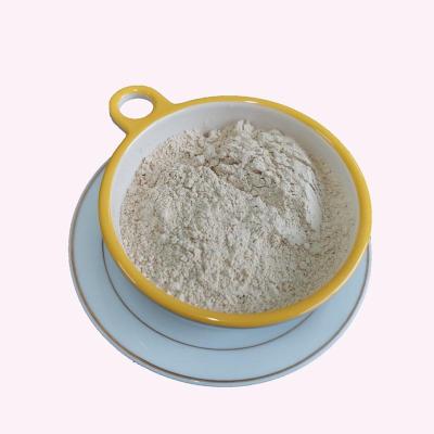 China Nutrition Enhancer Rice Protein Powder D80 for sale