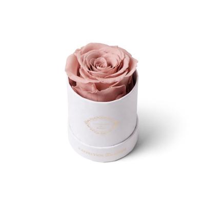 China decorative flowers & Rose Braid To Stabilize Forever Preserved Roses Cheap Preserved Flower Gift Preserved Roses In Gift Box for sale