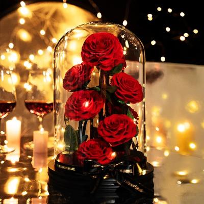 China 2024 Natural Touch Valentines Day Gift Beauty And The Beast Cool Rose In Glass Dome for sale