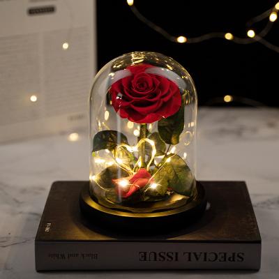 China Real Natural Touch Flower Factory Directly Supply 2023 Eternal Rose Preserved Flower Hot Selling Roses Forever In Led Glass Dome for sale