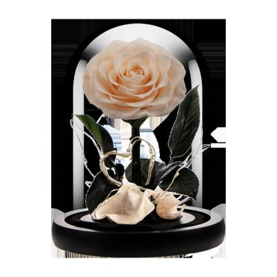 China Gift Box Real Champagne Flower Natural Touch Flower Eternal Decorative Preserved Roses Forever In Glass Dome With Led for sale