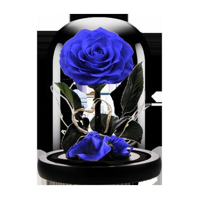 China Real natural touch flower roses in flower Wholesale Eternal Rose Preserved flower in glass dome in glass dome with wooden base for Valentine Day for sale