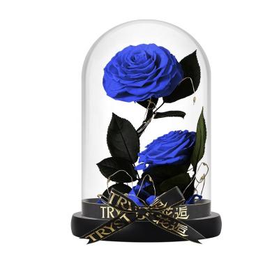 China Real Natural Eternal Flowers Touch Glass Dome Rose Flower With Light For Christmas Day for sale