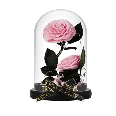 China Natural Lasting Immortal Eternal Preserved Flower Eternal Roses Natural Real Forever Touch Flower in Glass Dome for Mather Day Valentine Gifts for sale