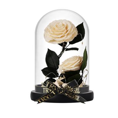 China Real Natural Touch Flower Wholesale Cheap Preserved Roses 7-8cm Stem Roses Preserved In Glass Dome for sale