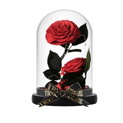 China Wholesale Preserved Natural Real Real Touch Flower Rose in Glass Dome Decorative Flowers for Party Festive Valentine's Day for sale