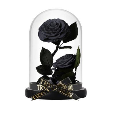 China Wholesale Real Natural Touch Real Flower Touch Preserved Fresh Preserved Flower Black Roses In Glass Dome for sale