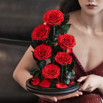 China Wholesale Real Natural Touch Real Flower Touch Preserved Stems Flower 9 Fresh Preserved Roses In Glass Dome for sale