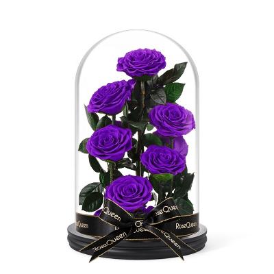 China Wholesale Hot Selling Natural Real Touch Flower Purple Preserved Rose With Glass Dome Eternal Flowers For Valentines Day Gifts for sale