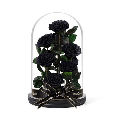 China Natural Touch Real Flower Never Wither Gifts Preserved Black Roses 13 Inch Real Handmade Preserved Rose In Glass Dome For Valentine's Day for sale