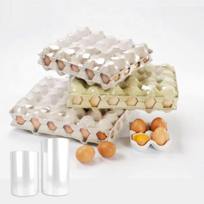 China Moisture Proof 10 - 38 Micron Printed Polyolefin Pof Shrink Film Roll Maker Food Wrap for sale