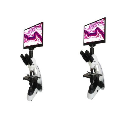 China WSM-SW1001T MEILISONG Biological Microscope With 12inch Touch Screen Microscope Toy Microscope WSM-SW1001T Online Shopping for sale