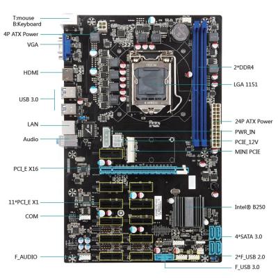 China B250 D4 B250 Desktop Motherboard LGA1151 DDR4 PCI-E Slots For B250 for sale