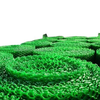 China Mesh Hole Height 25mm Agricultural Rigid Plastic Grass Protection Mesh for sale