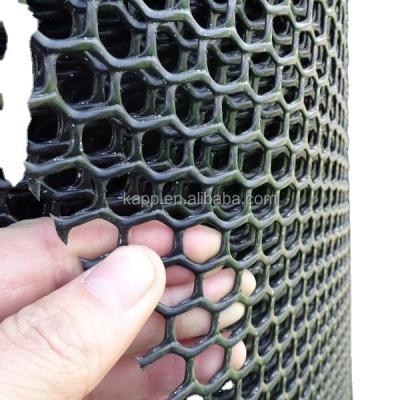 China Agricultural Mesh HDPE Plastic Mesh Pieces For Craft for sale