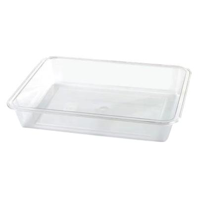 China Viable Home Kitchen PC Fruit Lunch Storage Box Clear Rectangular Fruit Serving Tray for sale