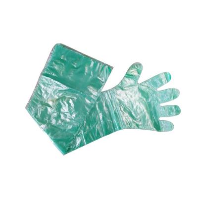 China Livestock Epidemic Prevention/Cattle Breeding Direct Selling Long 85-90cm Green Artificial Insemination Sleeve Gloves for sale