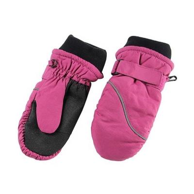 China Winter Thinsulate Windproof Waterproof Ski Gloves Polyester Mittens for sale