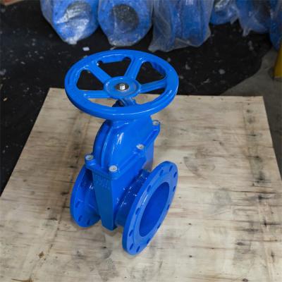 China Copper Wire Elastic Seat Gate Valve Wastewater F4 PN10 GGG50 Flange Ends for sale