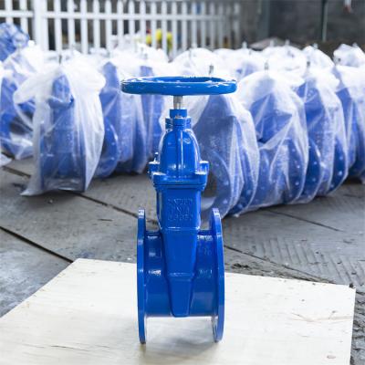 China Flange Ends PN16 PN10 Hand Wheel Gate Valve F4 Copper Wire Inner Dn250 Gate Valve for sale