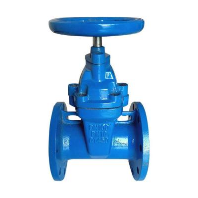 China Dn50-Dn300 Ductile Iron Resilient Seated Gate Valve For Sewage And Oil for sale