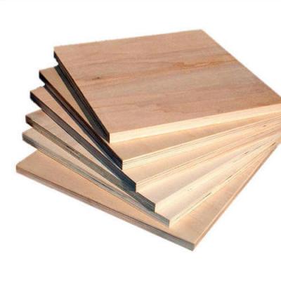 China Modern Plywood Boards For Building Furniture Packing Pine Bintangor Okumen Poplar Plywood Sheet for sale