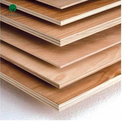 China Birch poplar plywood and modern plywood sheets for furniture construction packing for sale