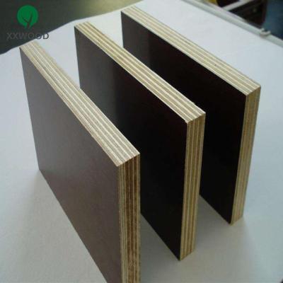 China Modern High Quality 18mm Concrete Formwork Coated Film Faced Plywood for sale