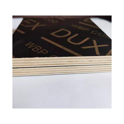 China Industrial specialization in the production of environmentally friendly black plywood film plywood 1220*2440mm for sale