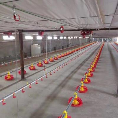 China Poultry Farm Chicken Feeding Poultry Farm Equipment Flooring Raising System For Broiler With Automatic Feeding Pan Drinking Line for sale