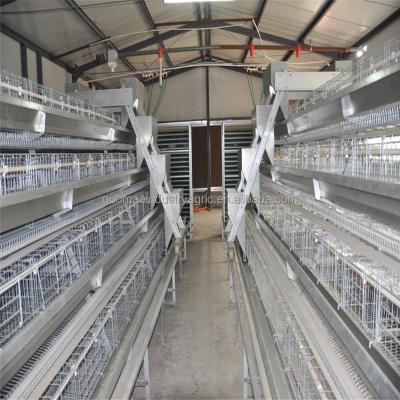 China Full Automatic Chicken Cage Chicken House Customized Automatic Layer Chicken Poultry Battery Cages For Layers for sale