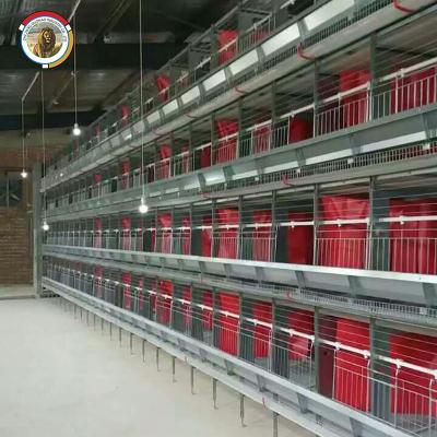 China High Quality Farms H Frame Chicken Cages Egg Layer Layer Chicken Cages Chicken Layer Cage for sale