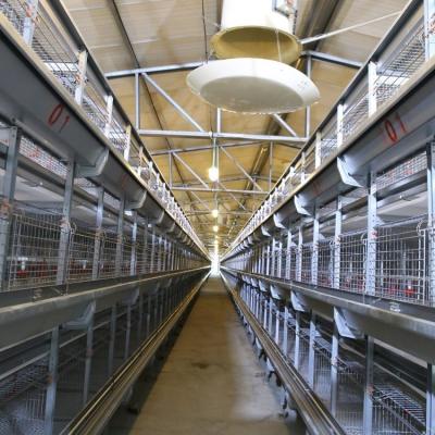 China Automatic Layer Chicken Cage Poultry Farm System African Chicken Farms Battery H Type Cage for sale